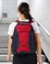 Picture of Winning Spirit Smartpack Backpack B5002