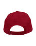 Picture of Winning Spirit Heavy Brushed Cotton Cap CH01