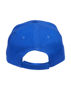 Picture of Winning Spirit Heavy Brushed Cotton Cap CH01