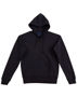 Picture of Winning Spirit DOUBLE BAY Hoodie Ladies FL04