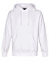 Picture of Winning Spirit PASSION Fleece Hoodie - Unisex FL09