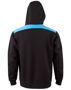 Picture of Winning Spirit CROXTON HOODIE Adult Unisex FL19