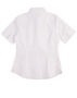 Picture of BENCHMARK Women's CVC Oxford Short Sleeve Shirt M8040S