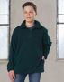 Picture of Winning Spirit MT BULLER Pullover Kids PF11