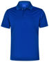 Picture of Winning Spirit ICON POLO Men's PS75