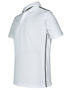 Picture of Winning Spirit STATEN POLO SHIRT Men's PS83