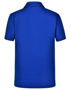 Picture of Winning Spirit STATEN POLO SHIRT Kid's PS83K