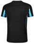 Picture of Winning Spirit LEGEND Tee Shirt Men's TS53