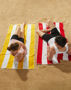 Picture of Winning Spirit STRIPED BEACH TOWEL TW07