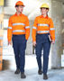 Picture of Australian Industrial Wear UNISEX COTTON STRETCH RIP-STOP WORK PANTS WP26